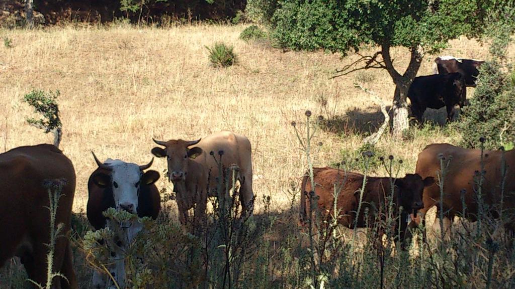 Riserva Del Noce Caltagirone Kültér fotó